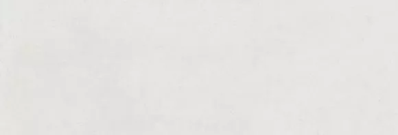 Rev White 40x120